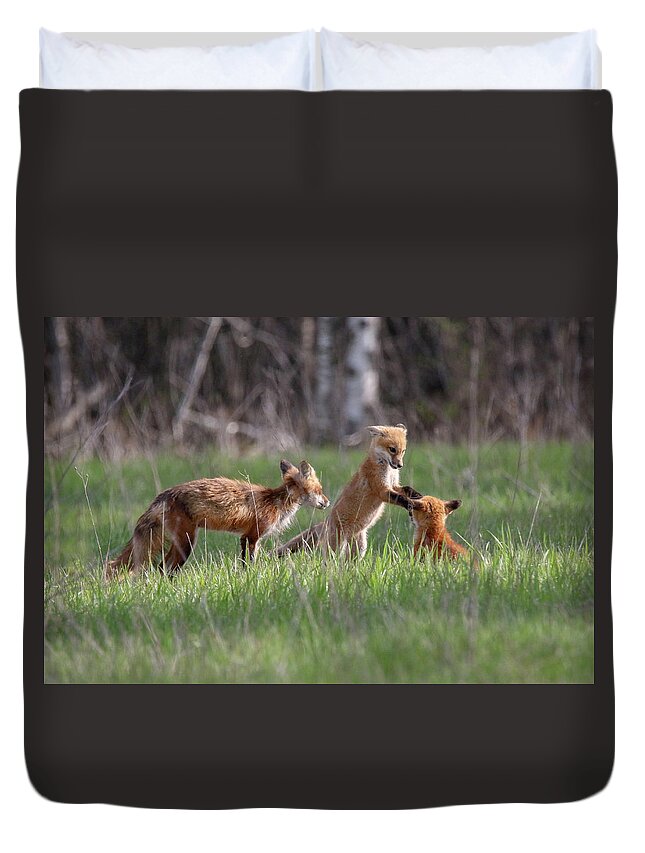 Red Fox Duvet Cover featuring the photograph Playful Fox Kits 2 by Brook Burling
