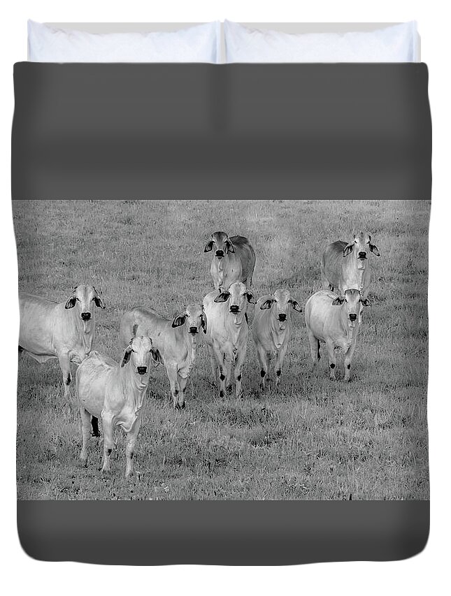 Tennessee Duvet Cover featuring the photograph Please Tell Me You Brought Breakfast, Infrared by Marcy Wielfaert