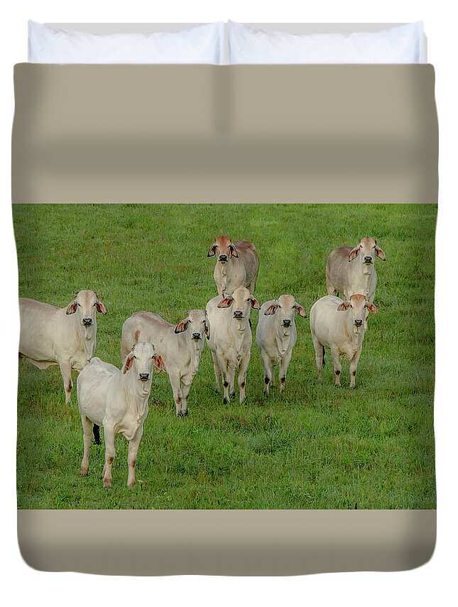 Tennessee Duvet Cover featuring the photograph Please Tell Me You Brought Breakfast, Soft Color by Marcy Wielfaert