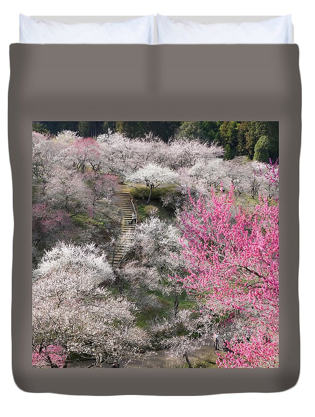 Tranquility Duvet Cover featuring the photograph Plum Blossoms by Kuroaya