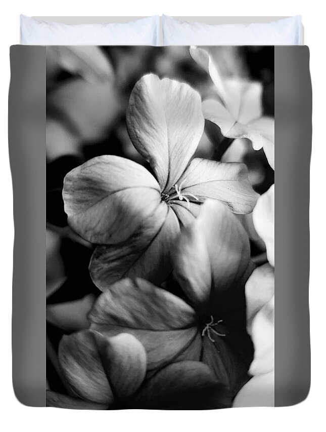 Floral Duvet Cover featuring the photograph Plumbago BW by Alexis King-Glandon