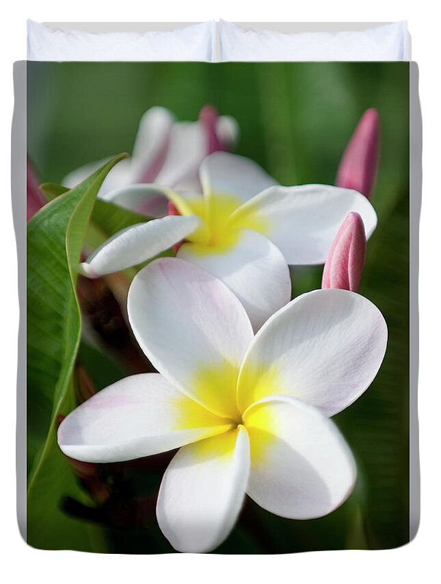 Honolulu Duvet Cover featuring the photograph Plumeria Blossoms by Driendl Group