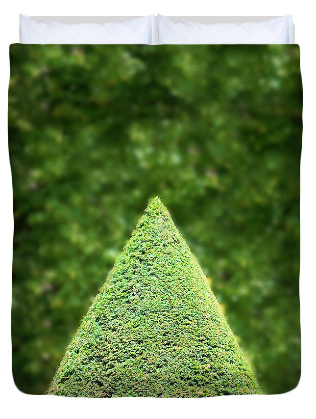 Outdoors Duvet Cover featuring the photograph Pointed Shaped Tree In Garden by Grant Faint