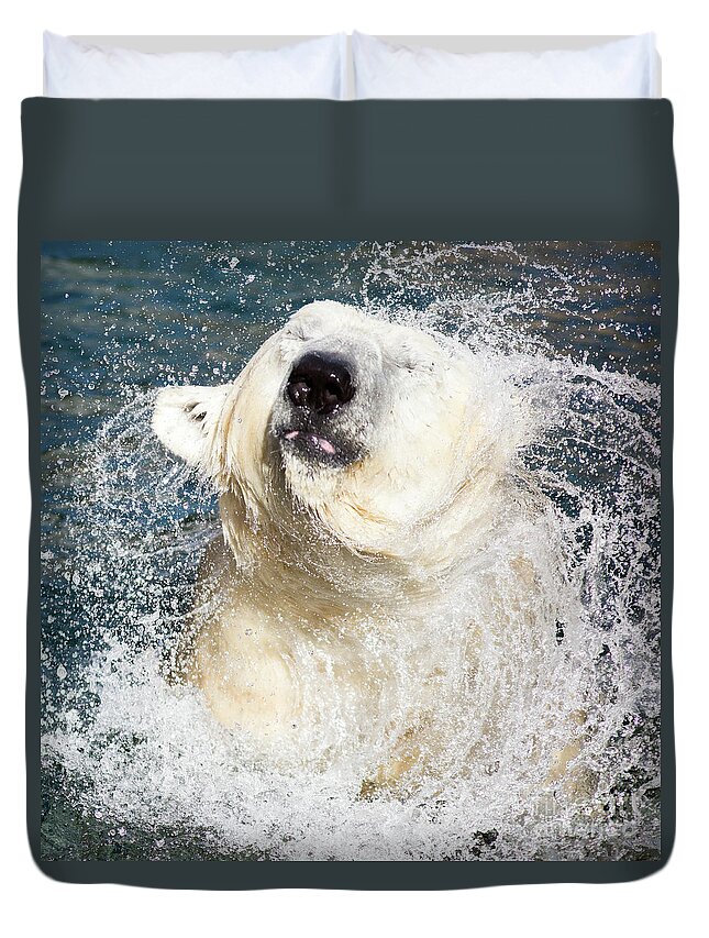Polar Bear Duvet Cover featuring the photograph Polar Bear Shaking Off Water by Edward Fielding