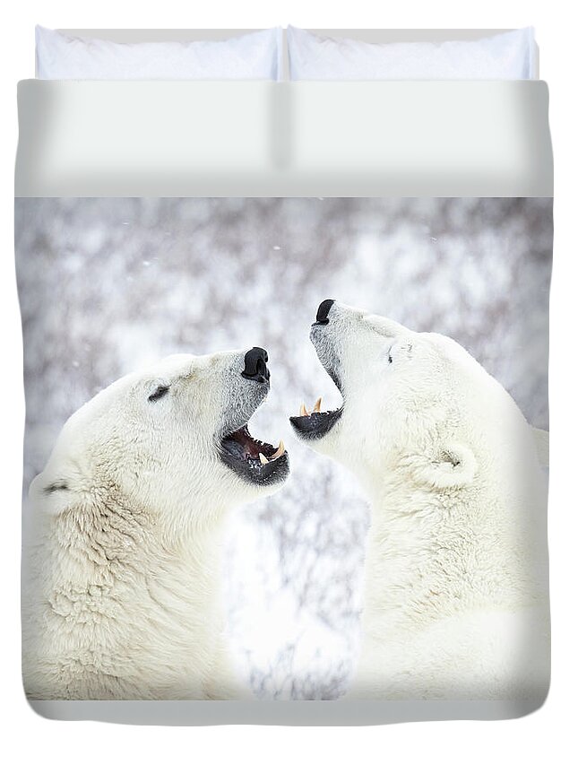 Snow Duvet Cover featuring the photograph Polar Bears Playing In The Snow by Chris Hendrickson