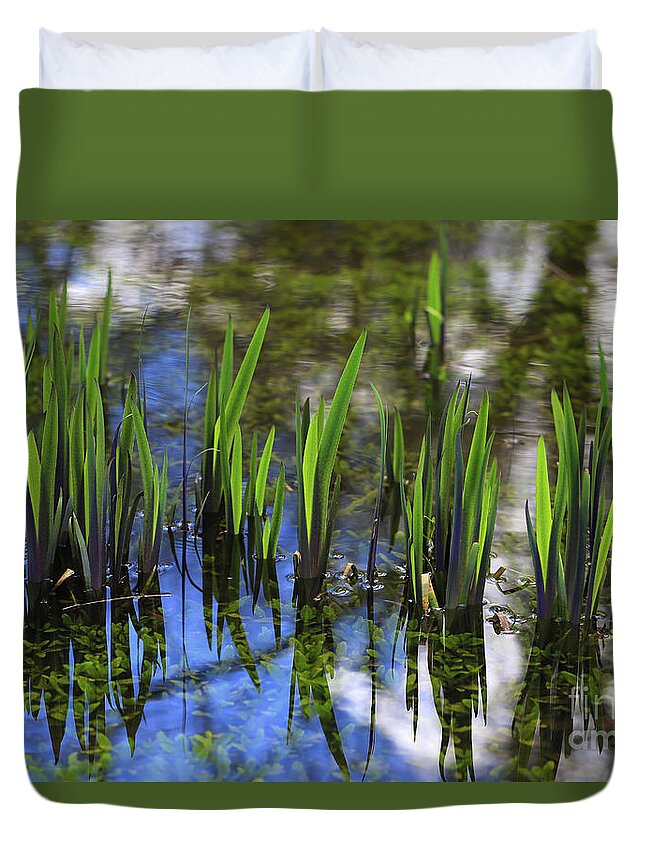 Pond Plants In Reflection Duvet Cover featuring the photograph Pond Plants in Reflection by Rachel Cohen