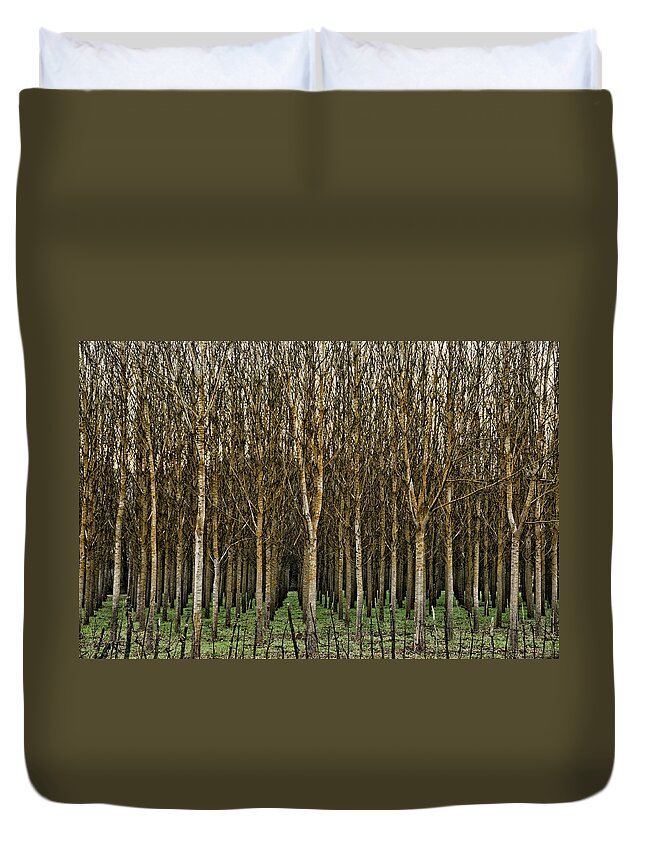 Tranquility Duvet Cover featuring the photograph Poplars by Photo By Dasar