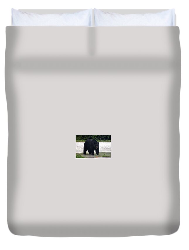 Florida Duvet Cover featuring the photograph Poppa Bear by Lindsey Floyd