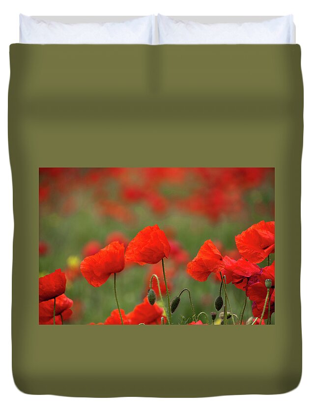 Bud Duvet Cover featuring the photograph Poppies by Copyright Wild Vanilla