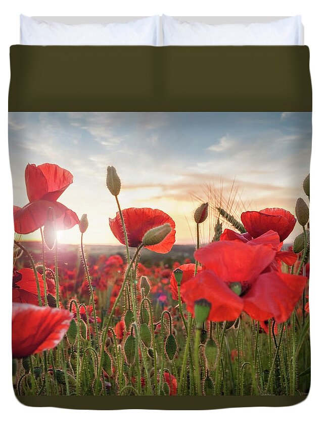 Scenics Duvet Cover featuring the photograph Poppy Field At Sunset by Matt Walford