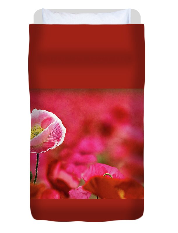 Color Duvet Cover featuring the photograph Poppy Standing Tall by Jean Noren