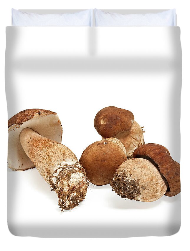 White Background Duvet Cover featuring the photograph Porcini Mushrooms by Ursula Alter