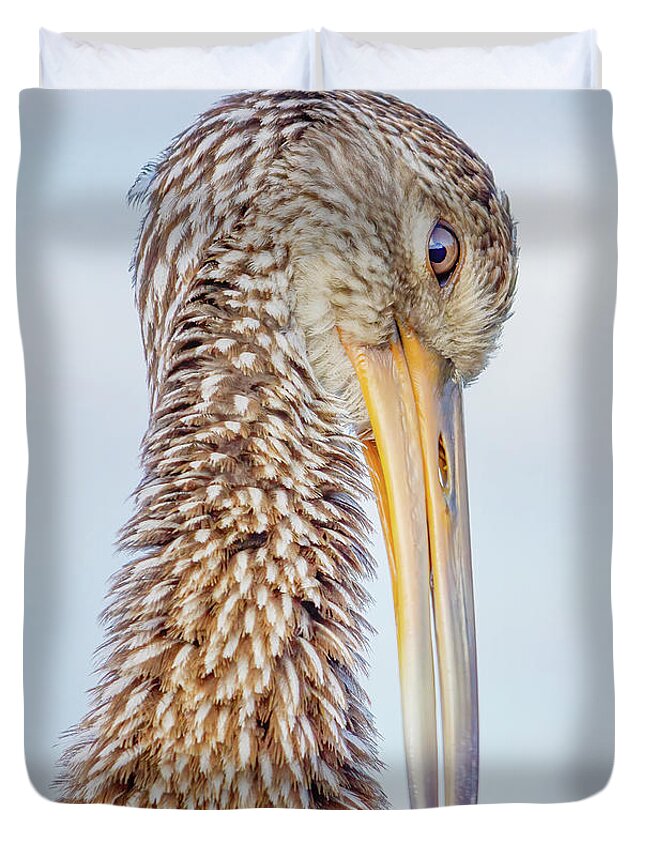 Limpkin Duvet Cover featuring the photograph Portrait of a Limpkin by Mark Andrew Thomas
