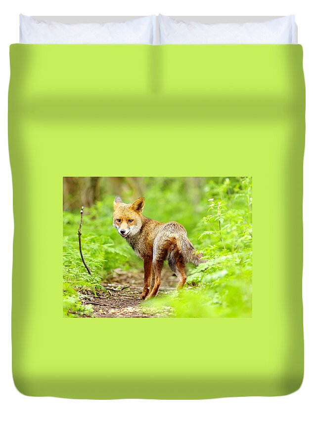 Animal Themes Duvet Cover featuring the photograph Portrait Of Fox by Gary Chalker