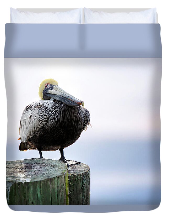 Pelican Duvet Cover featuring the photograph Post Sitting Near Sunset by Susan Rissi Tregoning