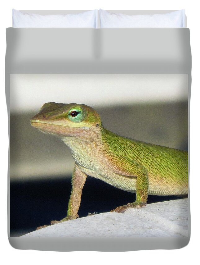 Animals Duvet Cover featuring the photograph Pretty Peepers by Karen Stansberry
