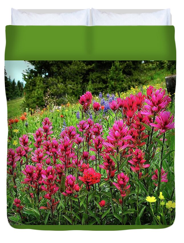 Colorado Wildflowers Duvet Cover featuring the photograph Pretty Pink Paintbrush by Lynn Bauer