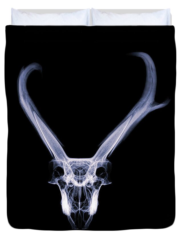 Kansas Duvet Cover featuring the photograph Pronghorn x-ray 06 by Rob Graham