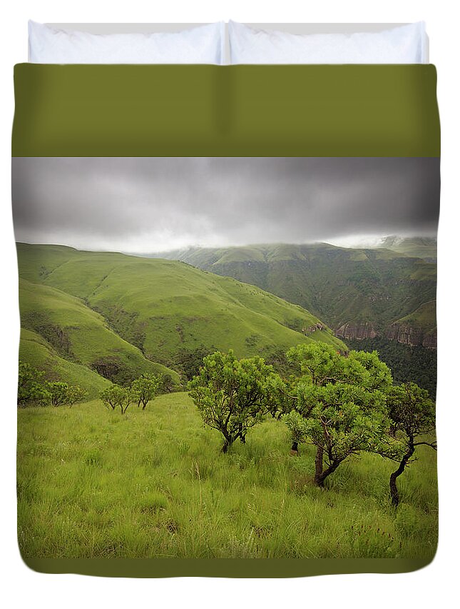 Scenics Duvet Cover featuring the photograph Protea Trees Overlooking A Grassy by Emil Von Maltitz
