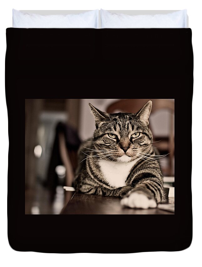 Alertness Duvet Cover featuring the photograph Proud Cat by Olga Tremblay