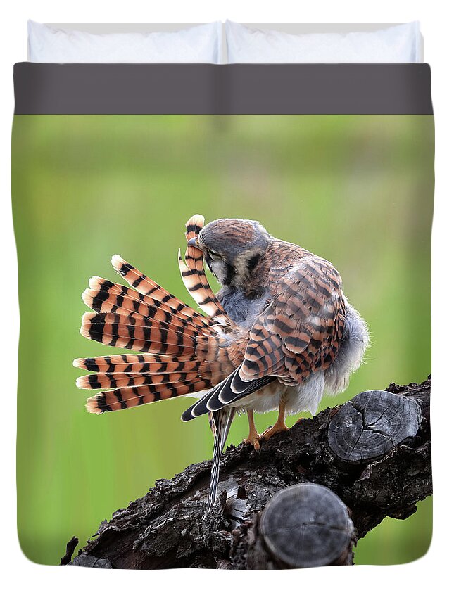 Kestrel Duvet Cover featuring the photograph Pruning by Shane Bechler