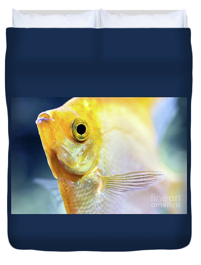 Pterophyllum Scalare yellow angel fish head macro selective focus Duvet  Cover by Gregory DUBUS - Pixels Merch