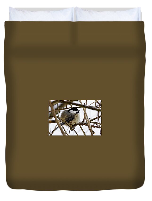 Bird Duvet Cover featuring the photograph Puffed up by Rockybranch Dreams