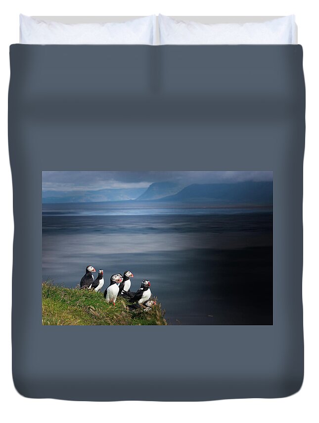 Grass Duvet Cover featuring the photograph Puffins On Ingólfshöfði by Copyright Wild Vanilla