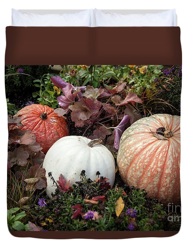 Fall Duvet Cover featuring the photograph Pumpkins by Timothy Johnson
