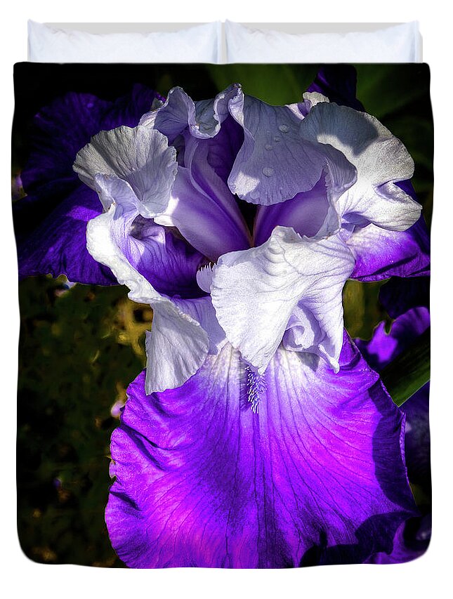 Hdr Duvet Cover featuring the photograph Purple and White Iris by David Patterson