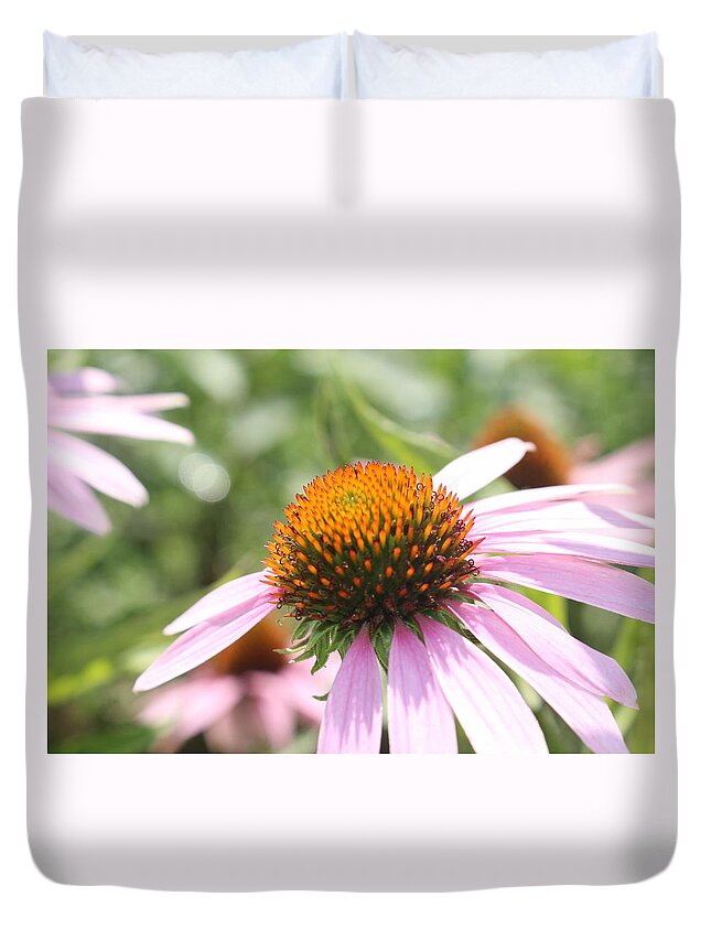 Purple Duvet Cover featuring the photograph Purple Coneflower Bloom and Petals by Christopher Lotito