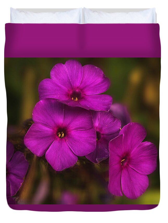 Purple Duvet Cover featuring the photograph Purple Flowers of Fall by Pheasant Run Gallery