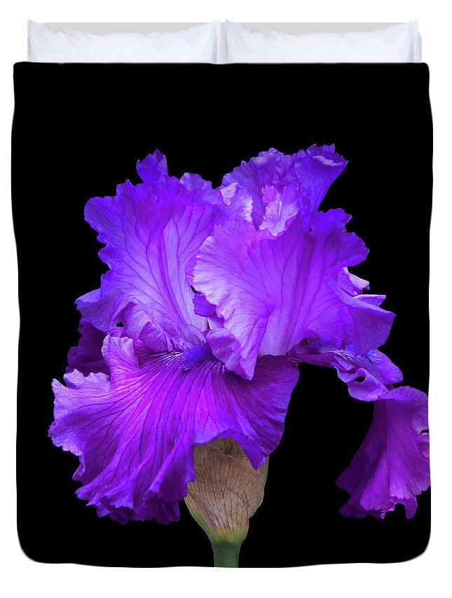 Purple Duvet Cover featuring the photograph Purple Iris On Black by Deborah Harrison