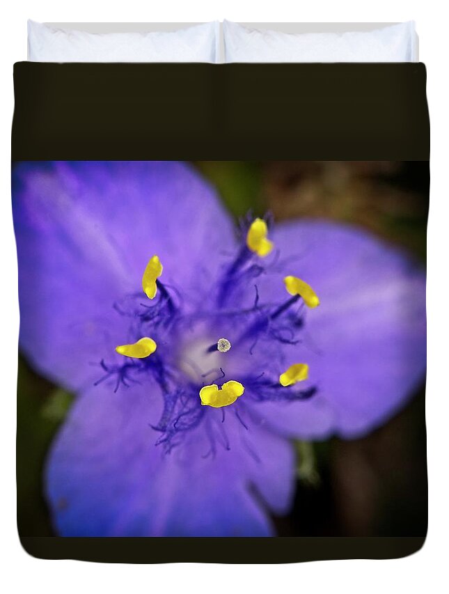 Nature Duvet Cover featuring the photograph Purple Majesty by John Benedict