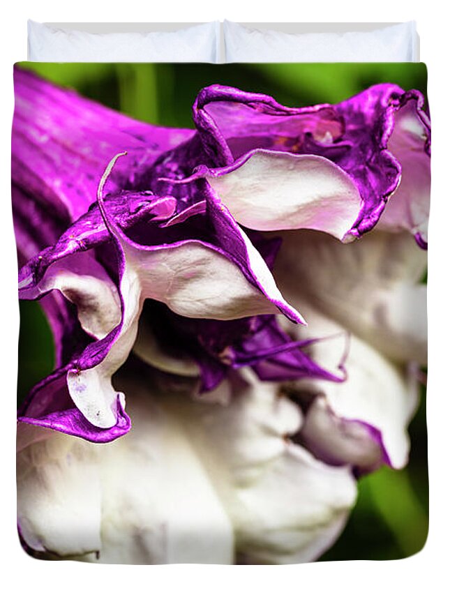 Brugmansia Duvet Cover featuring the photograph Purple Trumpet Flower by Raul Rodriguez