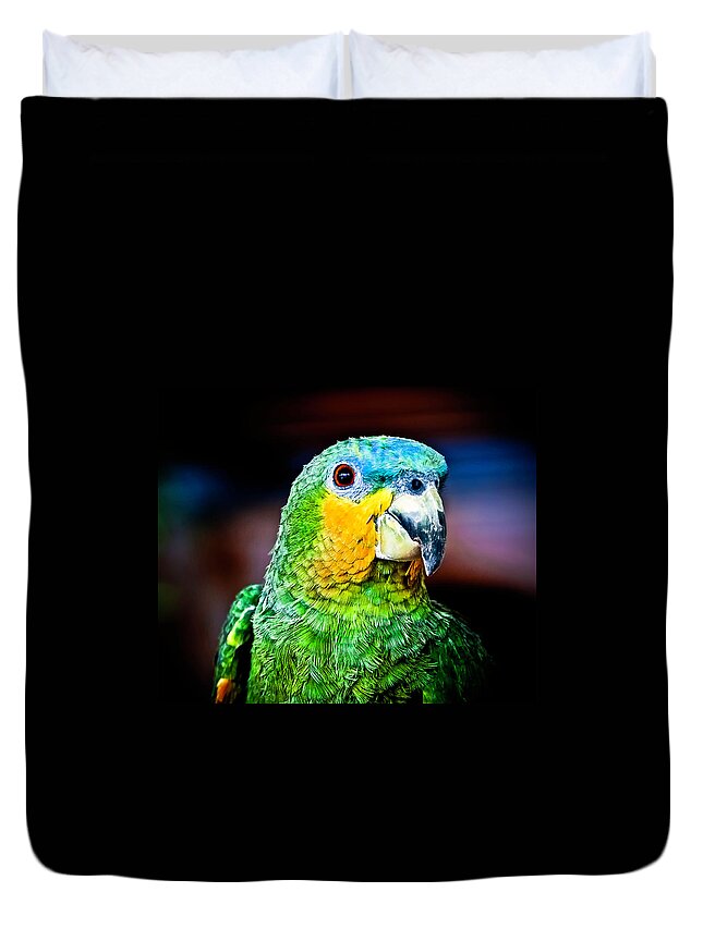 Animal Themes Duvet Cover featuring the photograph Quinny by Laura M. Vear