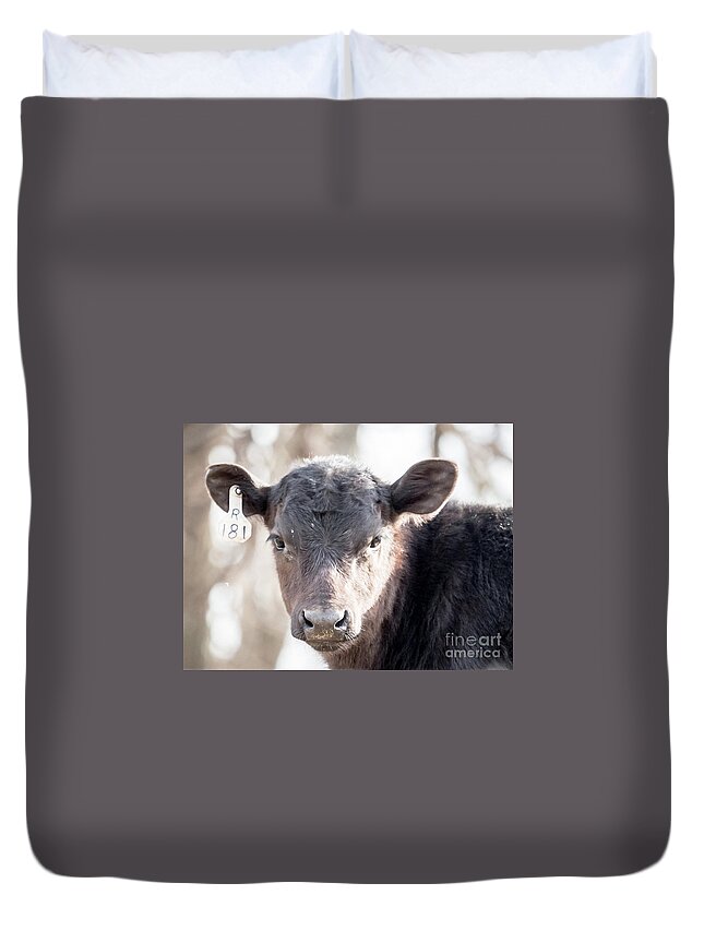 Cow Duvet Cover featuring the drawing R181 Cow by Scott and Dixie Wiley