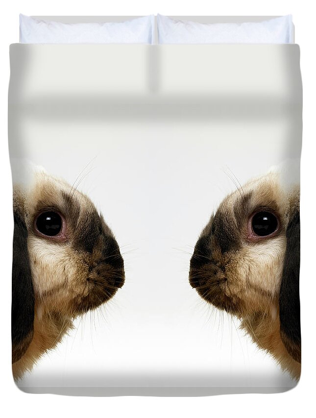 Animal Themes Duvet Cover featuring the photograph Rabbit Looking At Rabbit by Richard Newstead