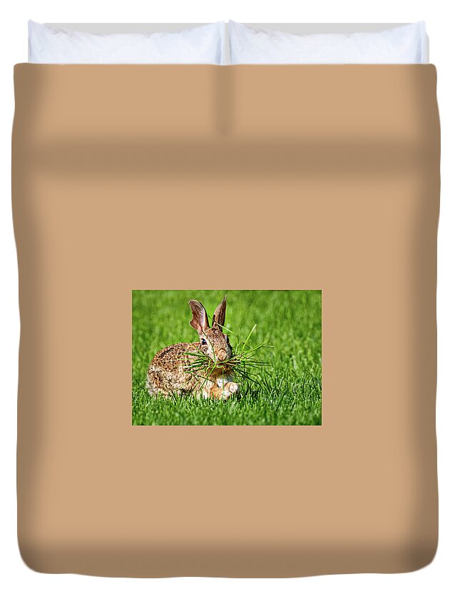 Rabbit Duvet Cover featuring the photograph Rabbit with Grass by Allin Sorenson