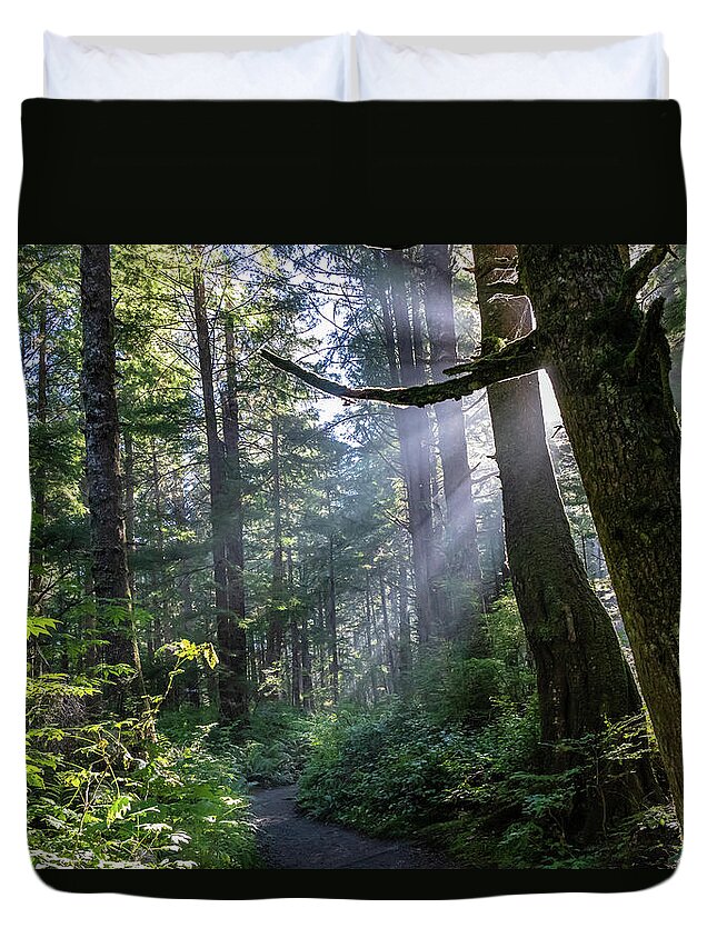 Background Duvet Cover featuring the photograph Rain Forest at La Push by Ed Clark