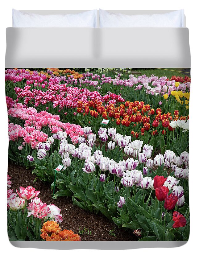 Flower Duvet Cover featuring the photograph Rainy Tulip Festival by Masami IIDA