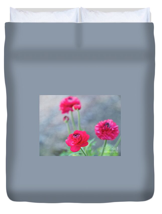 Color Duvet Cover featuring the photograph Ranunculus Blue Dreams 5 by Dorothy Lee
