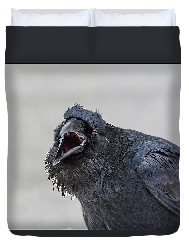 Raven Duvet Cover featuring the photograph Raven 5 by David Kirby