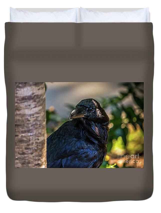 Raven Duvet Cover featuring the photograph Raven Watching by Kate Brown