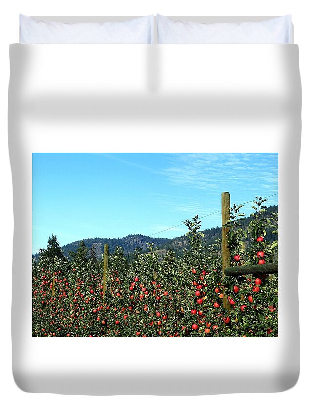 Apples Duvet Cover featuring the photograph Ready For Harvest by Will Borden