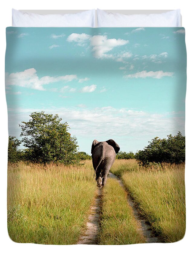 Botswana Duvet Cover featuring the photograph Rear View Of Elephant, Savute Lodge by Jasper James