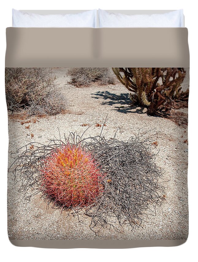 Anza-borrego Desert State Park Duvet Cover featuring the photograph Red Barrel Cactus and Mesquite by Mark Duehmig
