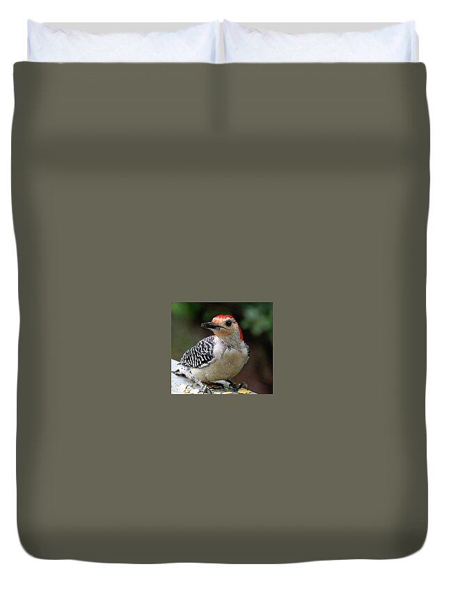 Birds Duvet Cover featuring the photograph Red Bellied Woodpecker Having a Snack by Linda Stern