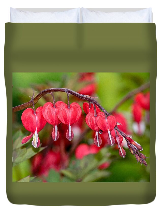 Macro Duvet Cover featuring the photograph Red Bleeding Hearts by Susan Rydberg