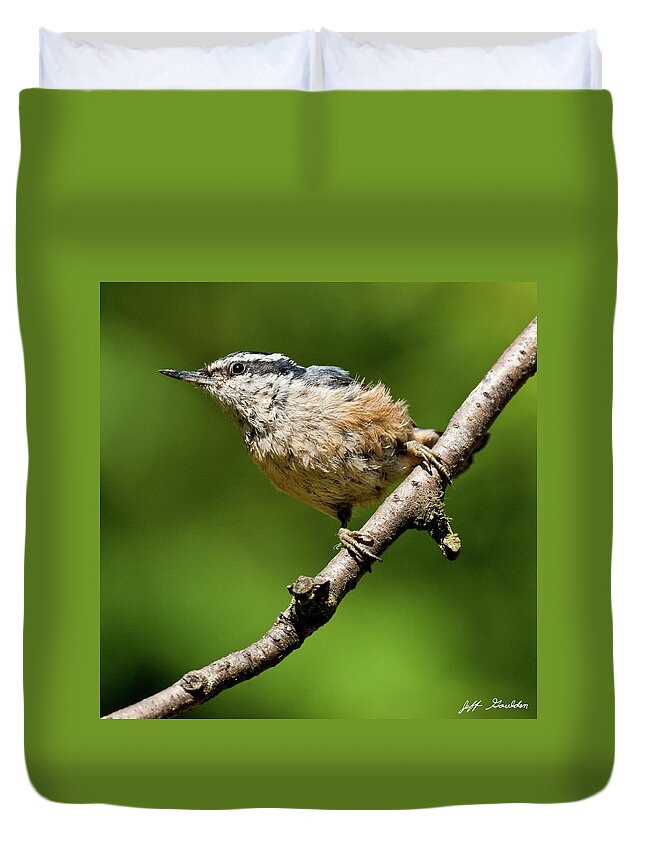 Animal Duvet Cover featuring the photograph Red Breasted Nuthatch by Jeff Goulden